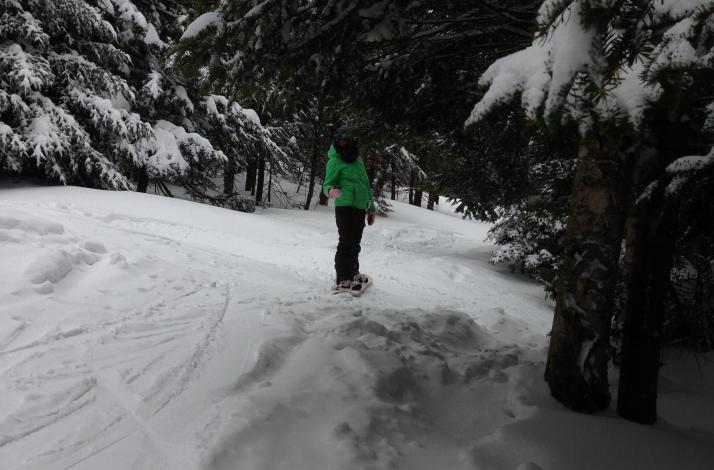 Gore Mountain Ski Or Snowboard Trip With Nyc Snow Bus Bus And Lift Ticket In New York New York Gore Mountain Ski Or Snowboard Trip With Nyc Snow Bus Bus And Lift Ticket In New York New York