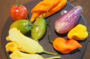 Farmer’s Market Tour, Cooking Class, and Gourmet Lunch Led by Popular Pleasanton Chef: Pleasanton, California