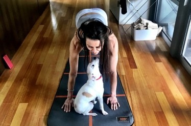 Pup Playtime: Enjoy a Yoga Class with Your Dog in Doga by YogaForce: Burlingame, California