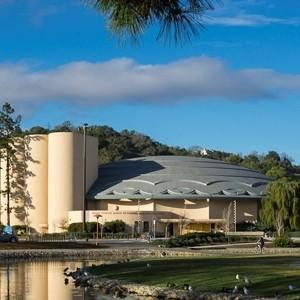 The Marin Cultural Association
