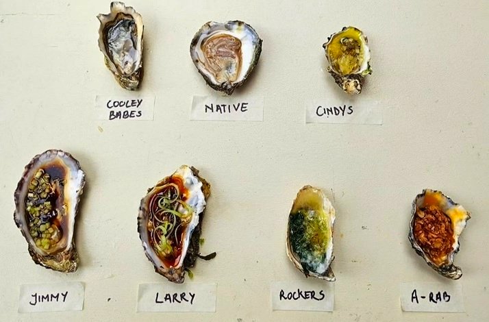 A selection of raw and dressed oysters labeled with playful names - Cooley Babes, Native, Cindys, Jimmy, Larry, Rockers, and A-Pau.