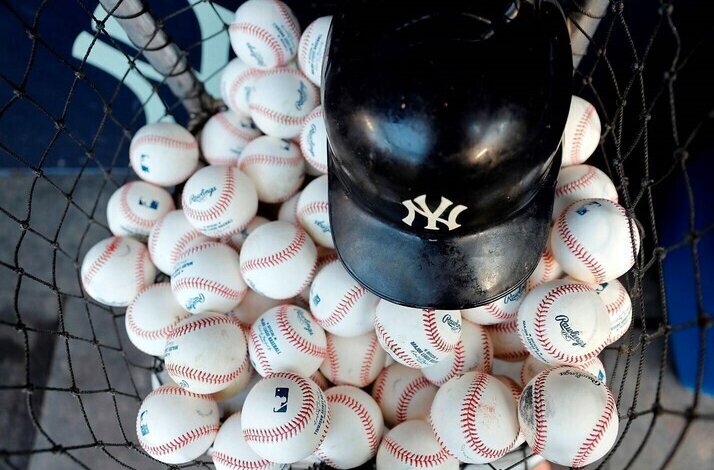 Baseball balls and New York Yankees cap collected inside a net.