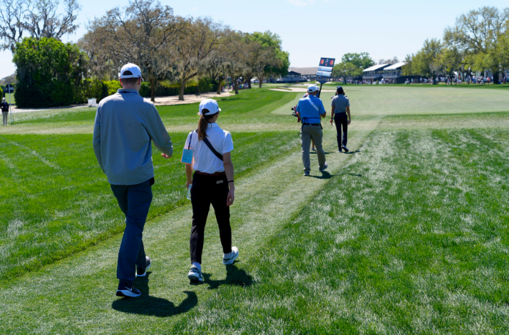 Group walks down a fairway on a sunny day at a golf course.