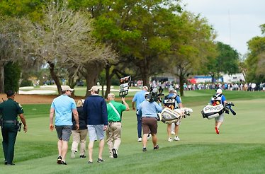 Honorary Observer Program