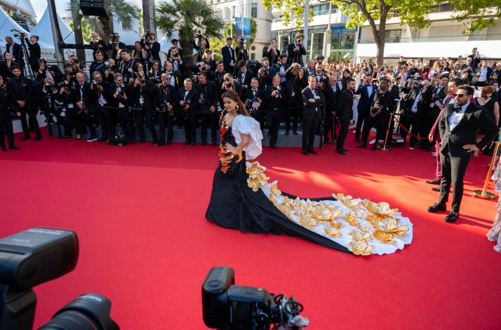 Reporters, photographers and celebrities at Cannes Film Festival Red Carpet.