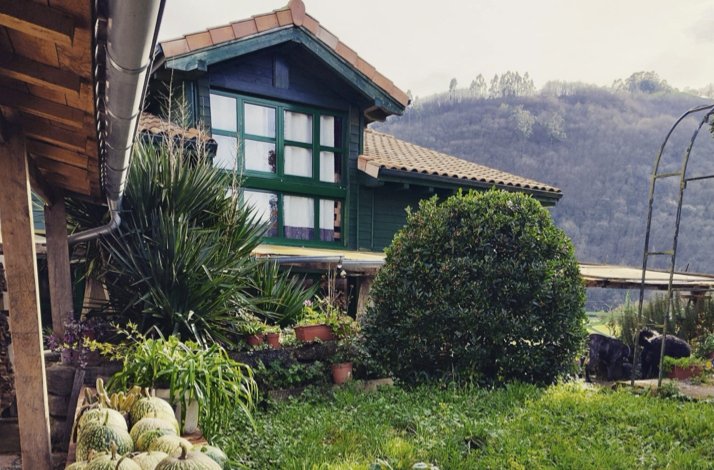 A green, wood-sided house with large windows sits behind a lush garden with potted plants and melons, with wooded hills behind it.