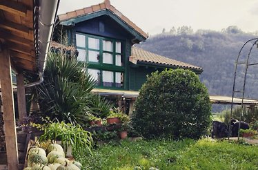 A green, wood-sided house with large windows sits behind a lush garden with potted plants and melons, with wooded hills behind it.