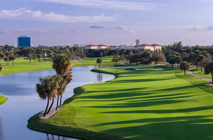 Palm-lined fairway beside a waterway.