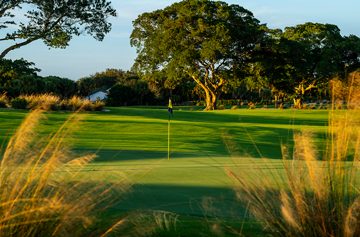 A vibrant Dutchman's Pipe Golf Club's golf course green at golden hour.