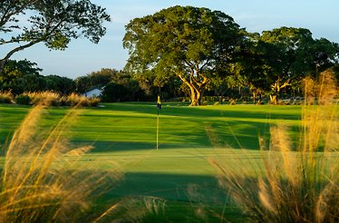 Putting green with flag and large trees.