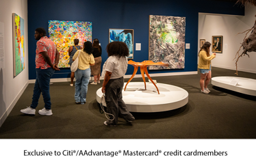Visitors exploring vibrant art pieces and sculptures in the Mint Museum galleries, exclusive to Citi®/AAdvantage® Mastercard® credit cardmembers.