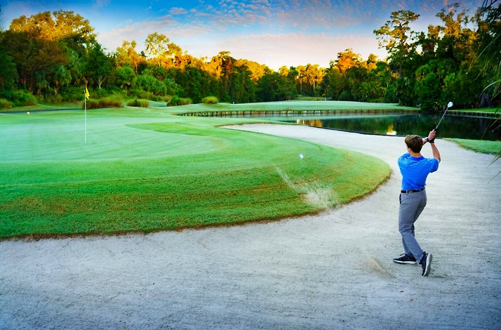 Golfer in a bunker at Palmetto Dunes, near water and greenery.
