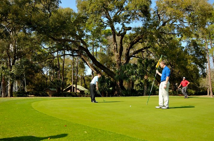 Golfers putting on a green at Palmetto Dunes, surrounded by trees.