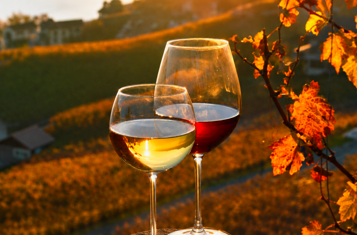 Red & white wine overlooking a vineyard