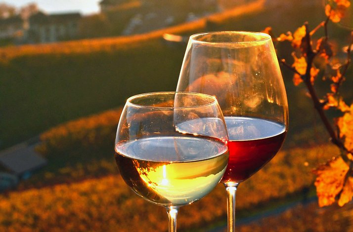 Two glasses of wine served as pairing to the three-course Pugliese dinner.