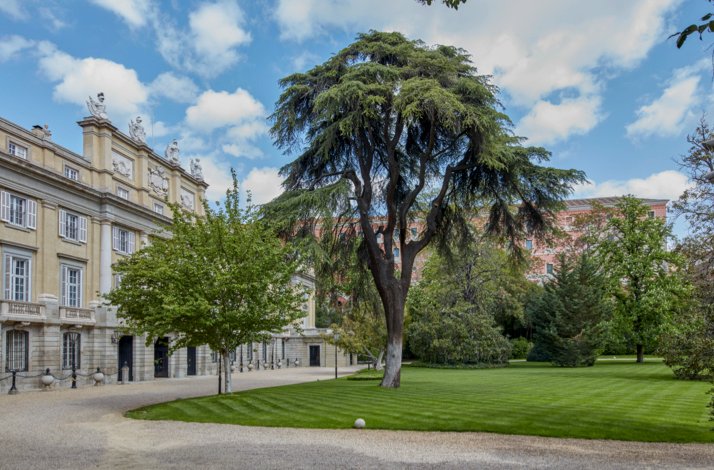 Manicured gardens with lush green grass and tall trees outside the grand facade of Liria Palace in Madrid.