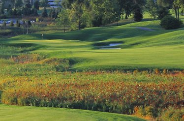 Golf with friends on lush Scottish-style links just outside of Detroit