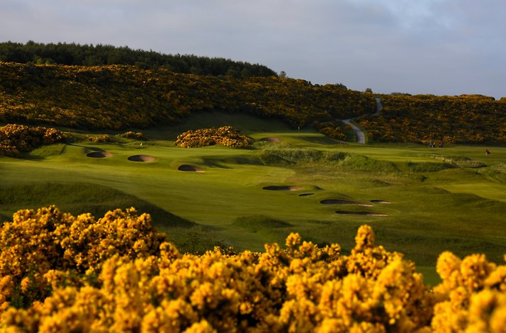 A lush green golf course dotted with deep bunkers and surrounded by dense yellow gorse bushes, with a winding path and golfers in the distance.