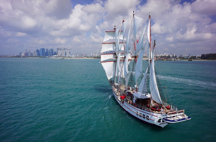 Aerial view of the Royal Albatross at sea.