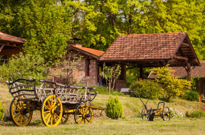 Zlatni Lug farm scenery with countryside buildings and carts.