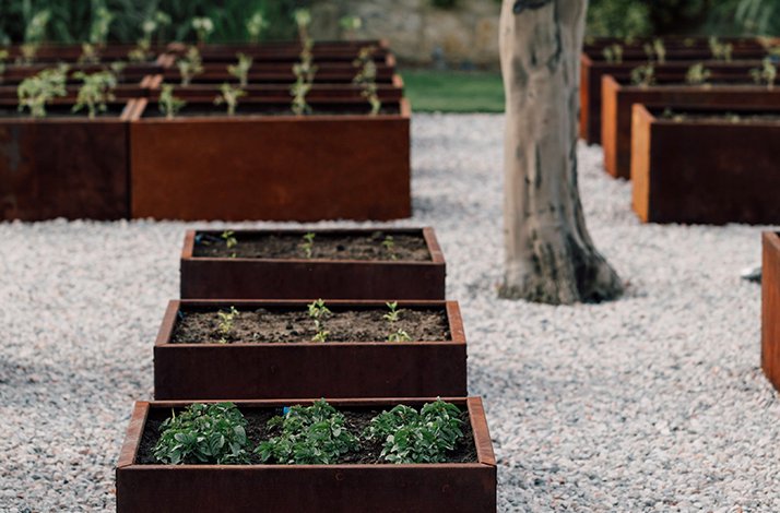 Indulge in an exclusive gourmet lunch at a Michelin-starred restaurant: In New York, New York (3)