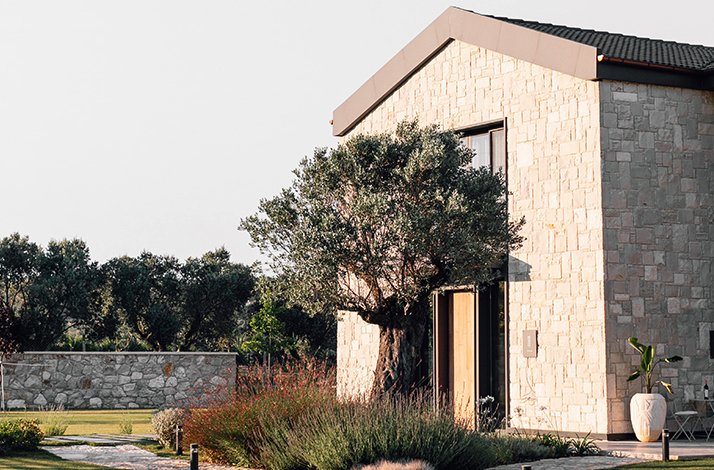 Indulge in an exclusive gourmet lunch at a Michelin-starred restaurant: In New York, New York (2)