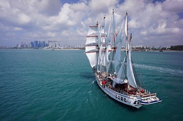 Aerial view of the Royal Albatross at sea.
