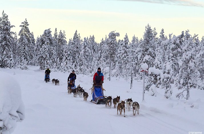 A group of people on dough sleighs on a snow mountain