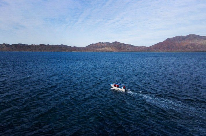 Aerial view of a boat on a whale-watching expedition in Puerto Chale.