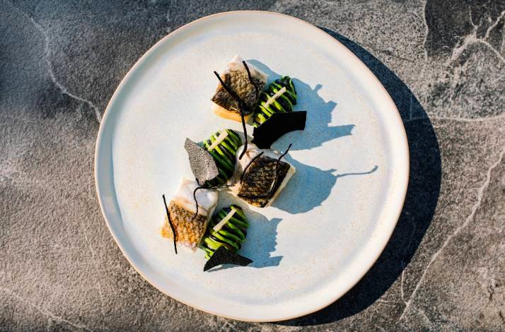 Pan-seared fish with crispy skin accompanied by piped avocado mounds and dark crisp tuiles.