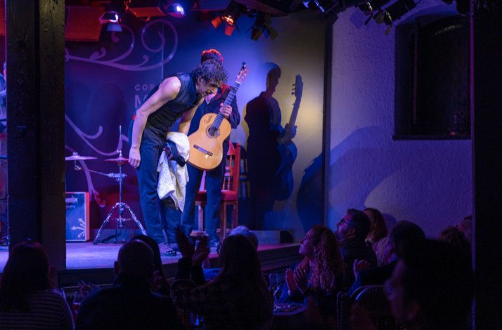 Guitarist bows on stage, holding an acoustic guitar, bathed in purple and blue lighting. An attentive audience applauds in the dimly lit venue.