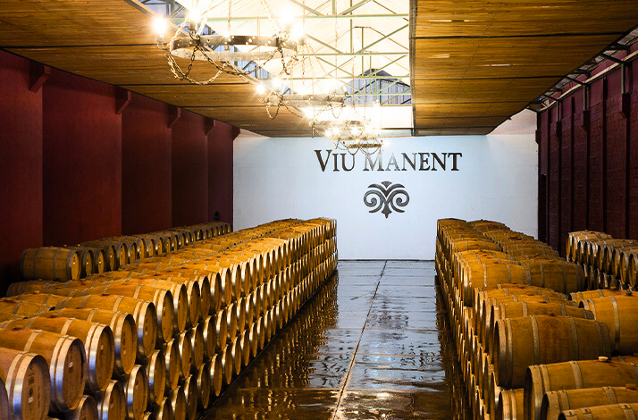 A full wine cellar at Viu Manent Winery.