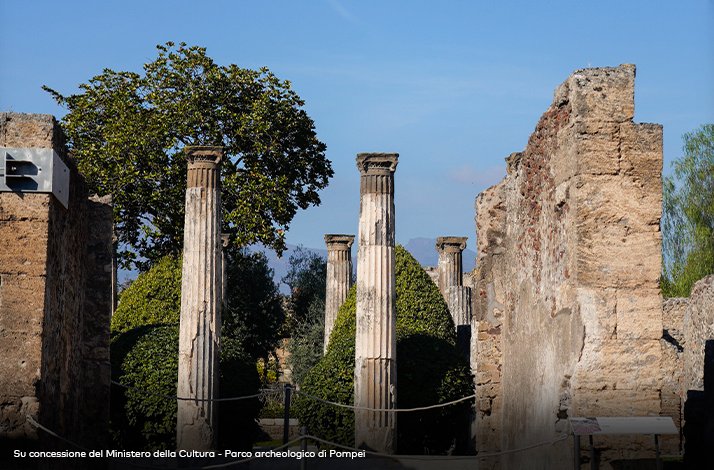 Ruins of the House of Pansa in Pompeii, Italy, showing stone columns and walls looking toward the peristyle garden.