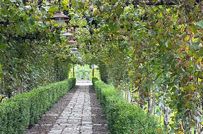 A garden inside the Archaeological Park of Pompeii
