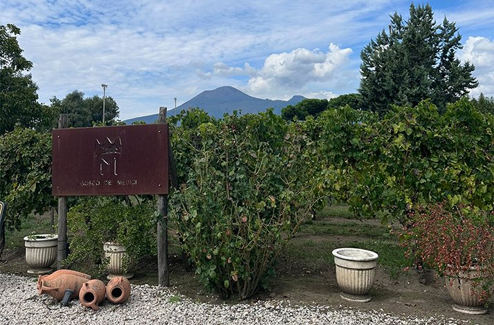 A view of the Archaeological Park of Pompeii