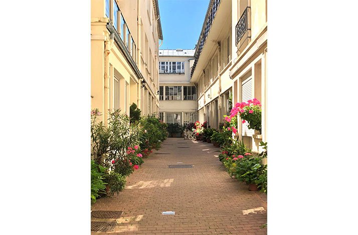 A narrow alley between two buildings with flowers growing along it.