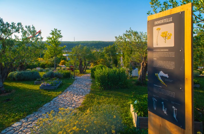 A picturesque shot of garden at Stella Croatica during sunset.