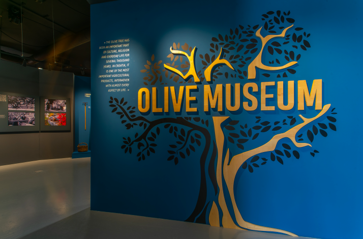 An exhibit at the Olive Museum in Klis, Croatia, featuring a large blue wall with a stylized tree graphic.