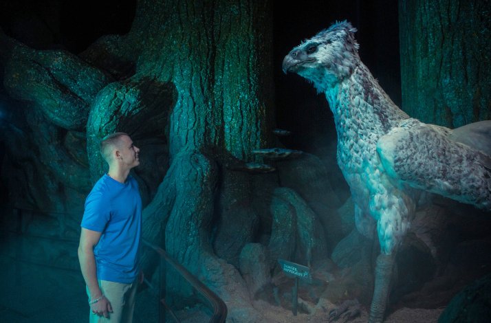 A man looking at a forest Buckbeak figure during Warner Bros. Studio Tour in London