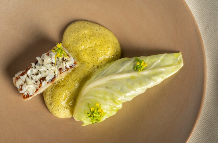 Black grouper with cabbage and pandan sauce