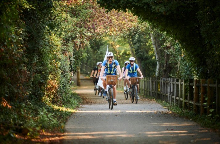 A group of cyclists travelling on a canopy road on a sunny day.