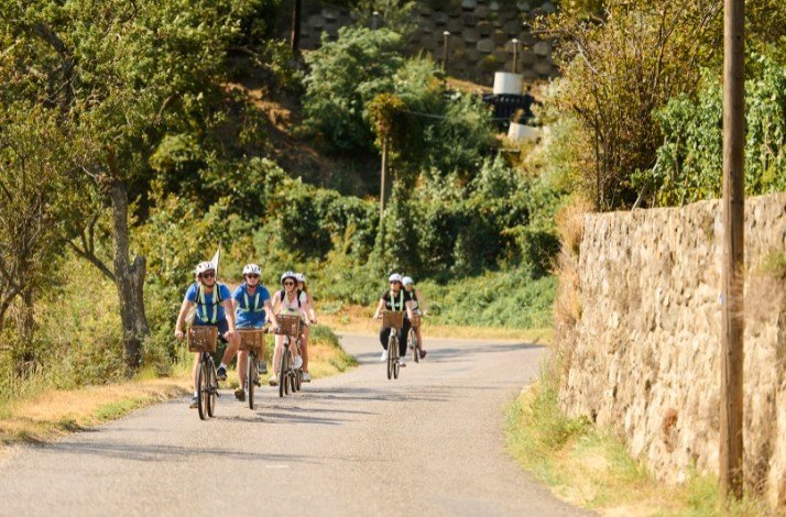 A group of cyclists riding on a road on a sunny day.