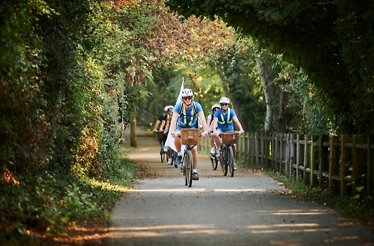 A group of cyclists travelling on a canopy road on a sunny day.