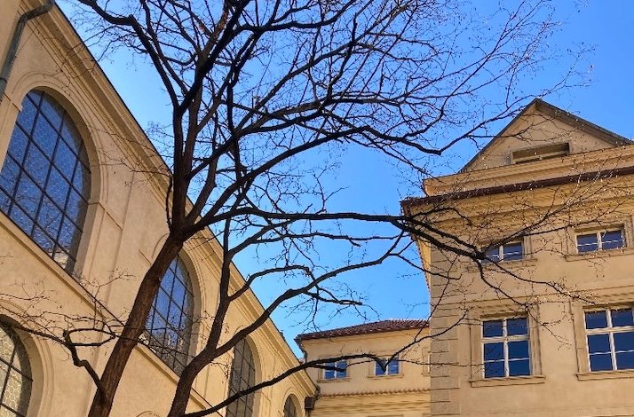 Building with large arched windows and a tree with bare branches against a clear sky.