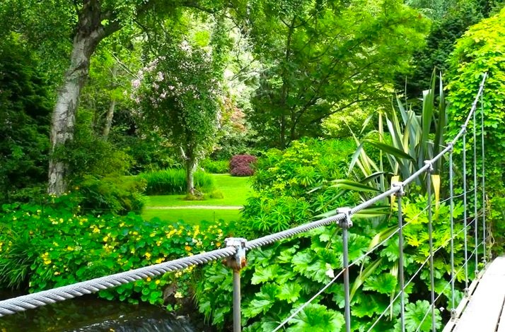 A scenic view of a lush garden path bordered by a rope bridge, with vibrant green plants, trees, and flowering shrubs along the River Vartry.