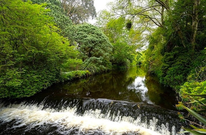 A tranquil river scene at Mount Usher Gardens, with water gently cascading over a small weir, framed by dense, green trees and foliage.