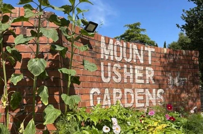  The Mount Usher Gardens entrance sign, painted on a red brick wall, with tall sunflowers and colorful flowers growing in front under a clear blue sky.