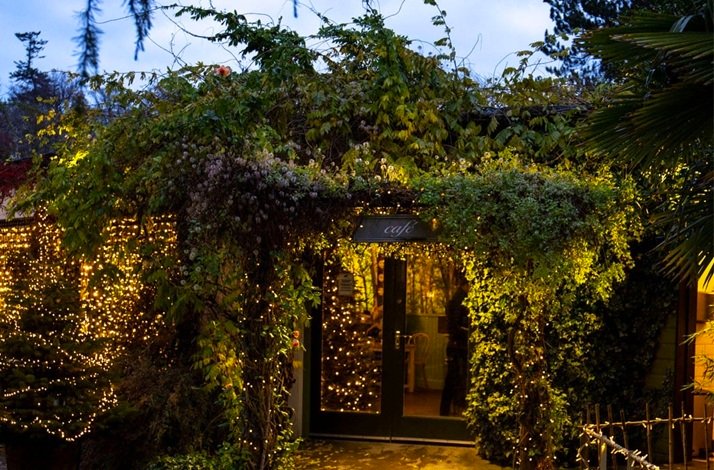 The entrance to a café at Mount Usher Gardens, warmly lit with strings of fairy lights and surrounded by lush, leafy vines in the twilight.