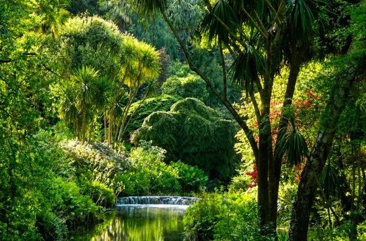 Picturesque scenery of Mount Usher Gardens with river waters running calmly surrounded by greenery on its banks.
