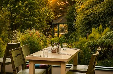 A table served in astounding greenery lanscape at the on-site restaurant at Mount Usher Gardens.
